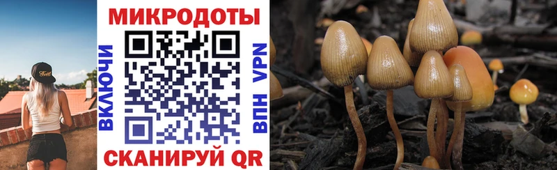 Купить где  Мещовск  Галлюциногенные грибы ЛСД 
